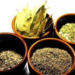 Spring Time Lemon Verbena, White Tea & Citrus Tea Blend